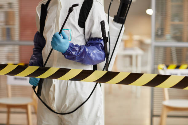 Professional Sewage Cleanup technician working in Fairmont, MN